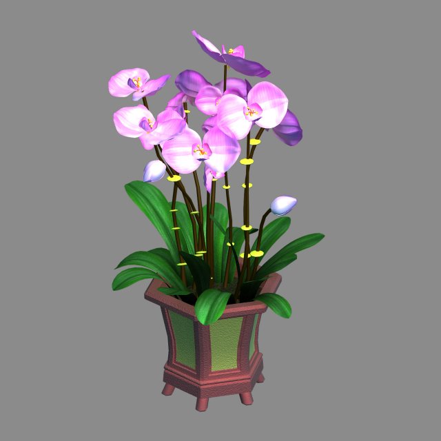 Indoor – Potted – Plants 04 3D Model