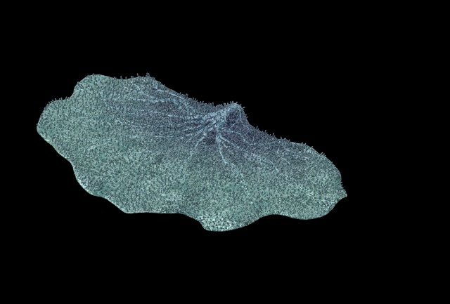 Seabed – Coral 75 3D Model