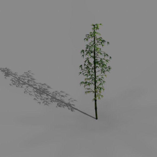 Dazhu Feng – black knot bamboo 01 3D Model