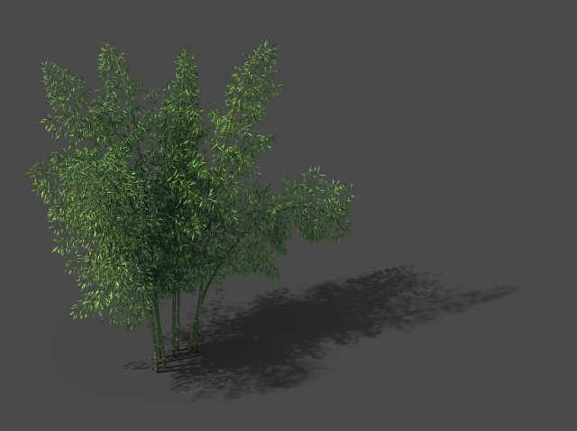 New Village – Bamboo Forest 02 3D Model