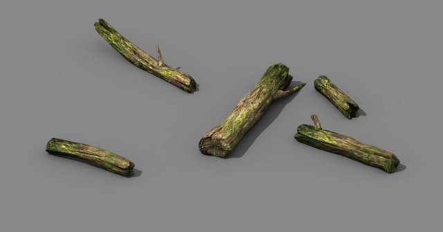 Mountains – dead wood – green algae – broken 02 3D Model