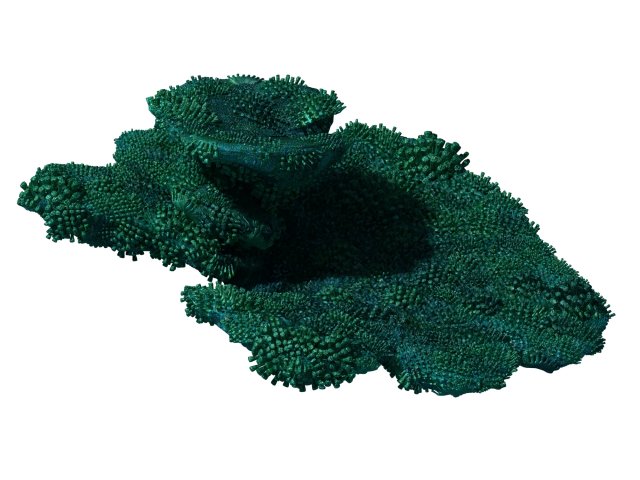 Seabed – Coral 74 3D Model