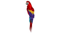 Parrot figure 2 3D Model