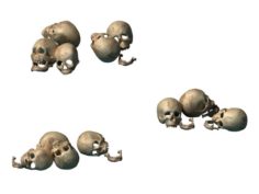 Death Desert – Skull 01 3D Model