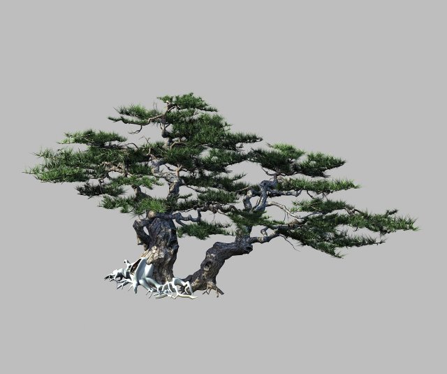 Journey to the West – Putuo Mountain – Pine 01 3D Model