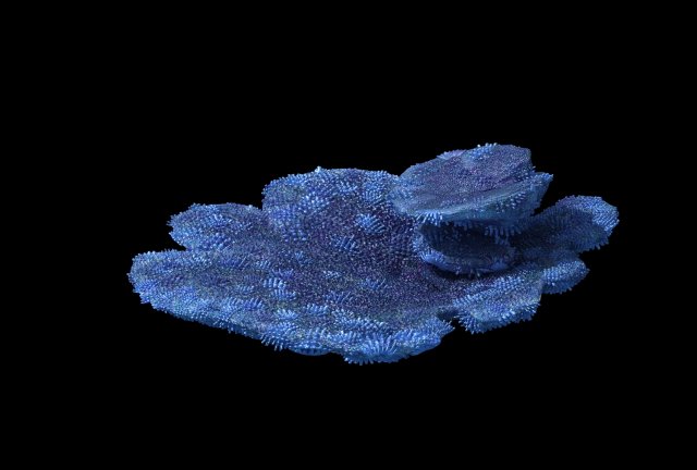Seabed – Coral 73 3D Model