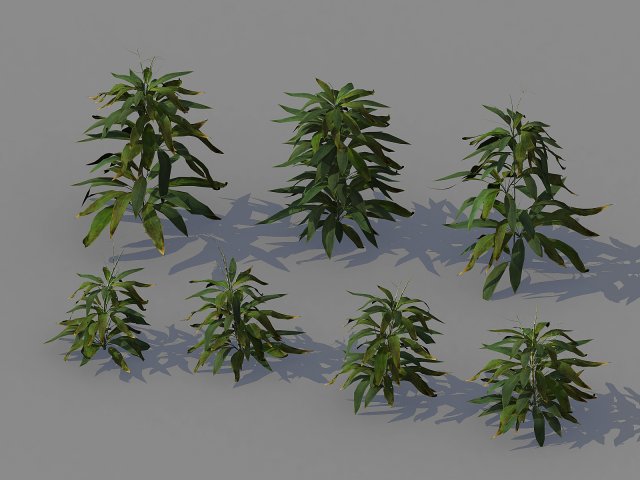 Journey to the West – Bamboo Shrubs 02 3D Model