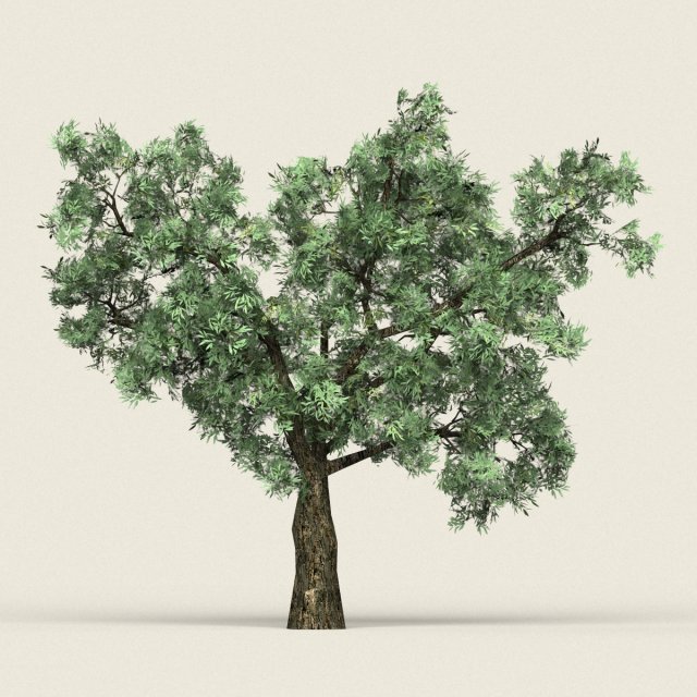 Game Ready Forest Tree 20 3D Model