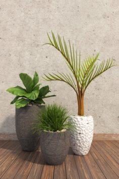Plants Decor 3 3D Model