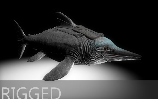 DolphinDino 3D Model