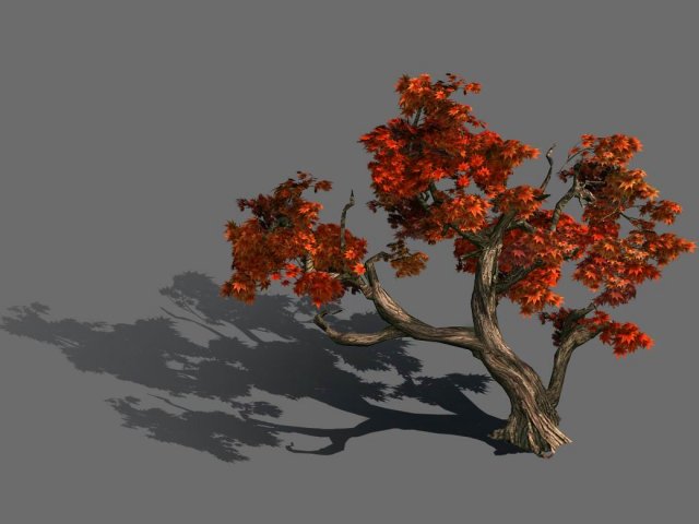 Forest – Maple 9901 3D Model