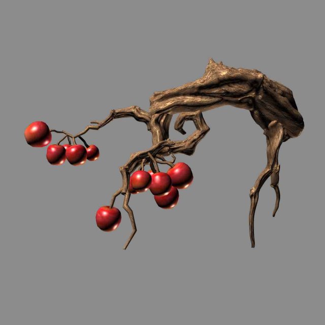 Empty Mulberry – small tree 01 3D Model