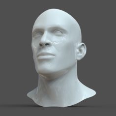 CAD-friendly Man Head Model M1P1D0V1head 3D Model
