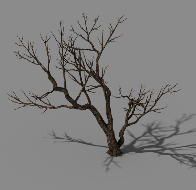 Explore the mountains – dead wood 07 3D Model