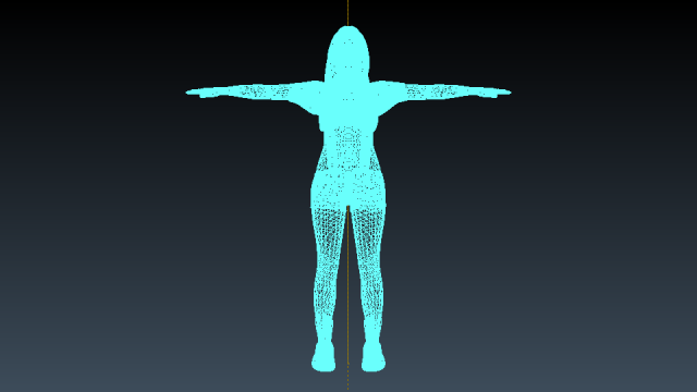 Female Free 3D Model