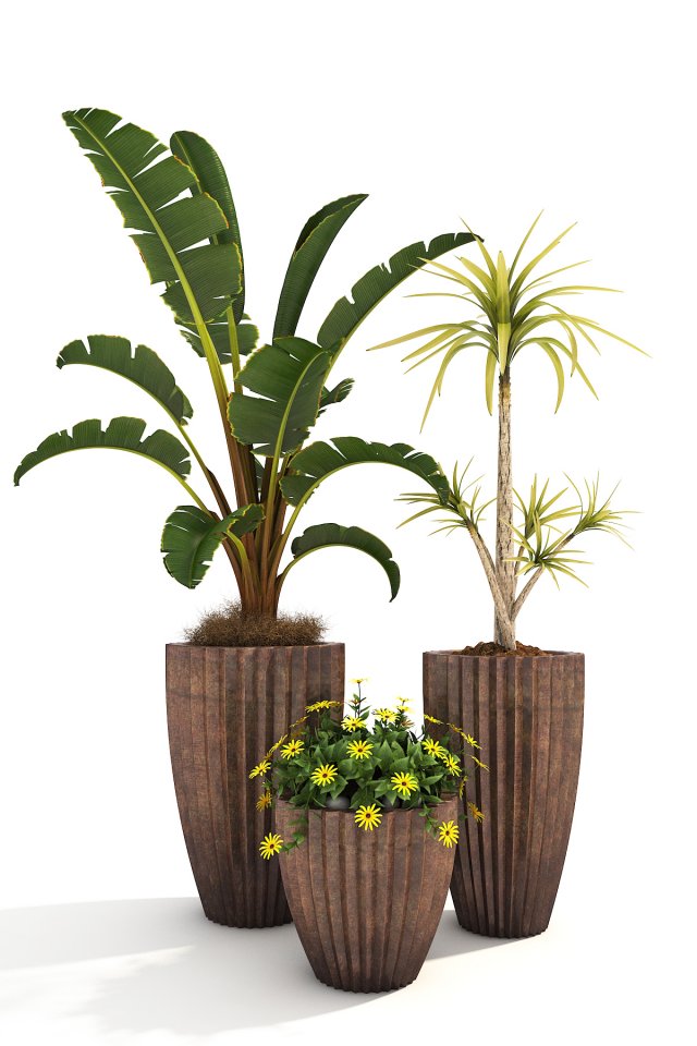 Plants Decor 2 3D Model