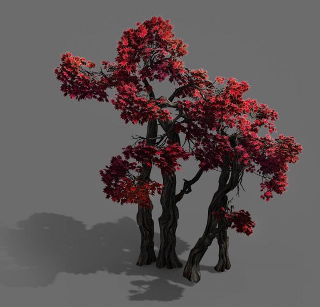 Forest – Maple 9904 3D Model