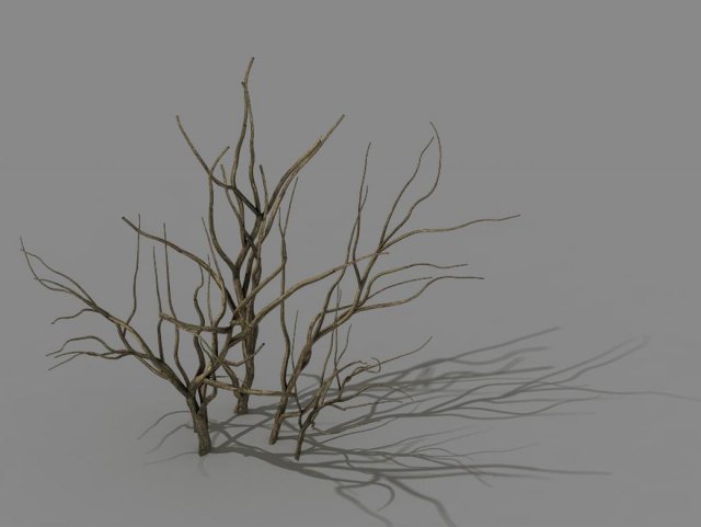 Mountain plants – shrubs 04 3D Model