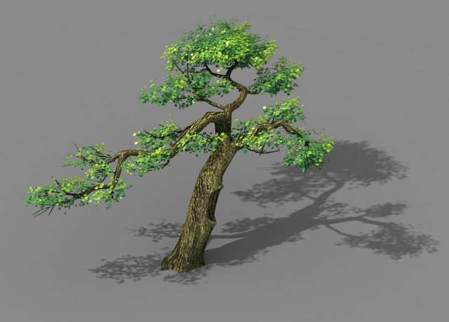 Explore the mountains – Cliff – Tree 04 3D Model