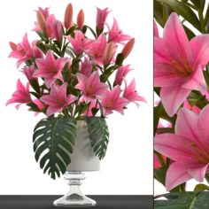 Bouquet of pink lilies 3D Model