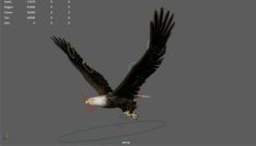 Flying animated rigged of an eagle 3D Model