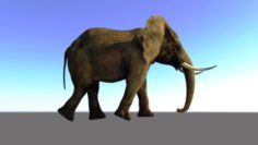 Animated of a realistic elephant 3D Model