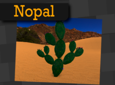 Nopal 3D Model