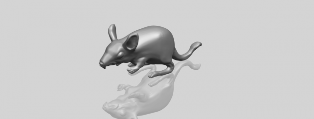 Rat 01 3D Model