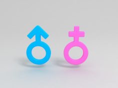 Gender symbols 3D Model