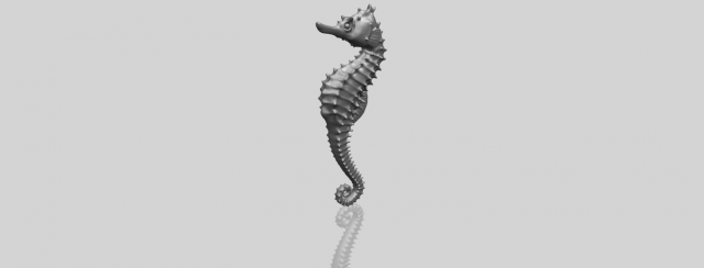 Hippocampus Sea Horse 01 3D Model