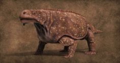 Bradysaurus baini 3D Model