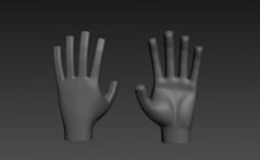 Hand 3D 3D Model