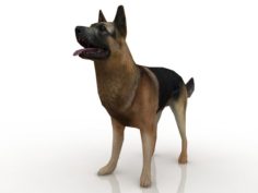 German Shepherd Dog 3D Model
