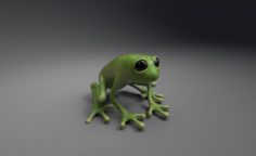 Frog Free 3D Model