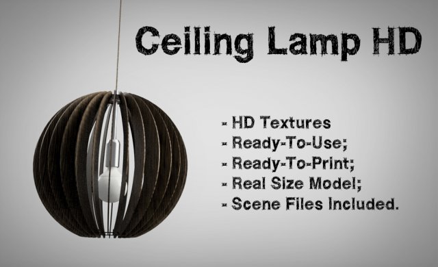 Ceiling Lamp HD Textures 3D Model