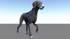 Walking cycle animated low poly model of a dog 3D Model