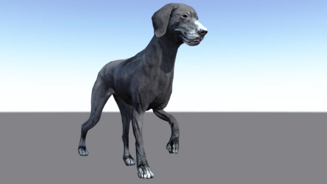 Walking cycle animated low poly model of a dog 3D Model