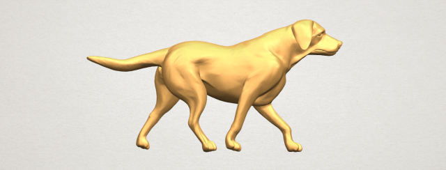 Dog 01 3D Model
