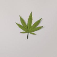 Cannabis Leaf 3D Model