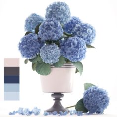 Bouquet of blue Hydrangea 3D Model