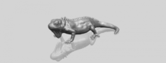 Chameleon 02 3D Model