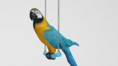Ara Parrot 3D Model
