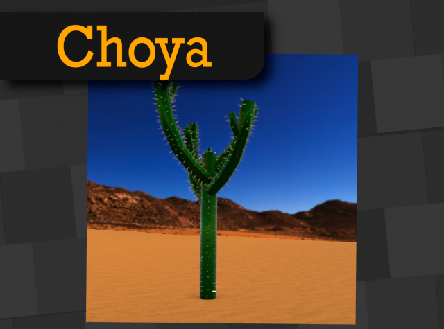 Choya 3D Model