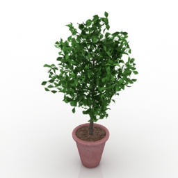 Plant 3D Model