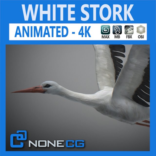 Animated Stork 3D Model