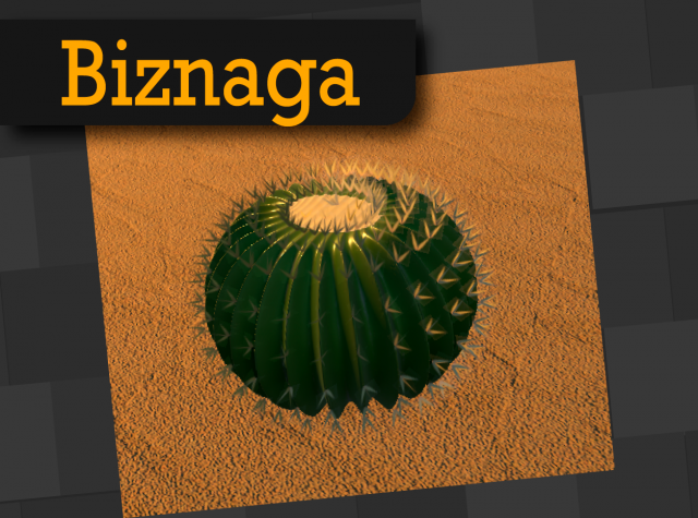 Biznaga 3D Model