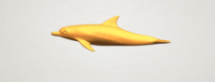 Dolphin 02 3D Model