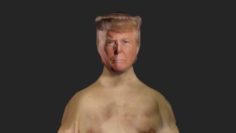 Donald Trump 3D Model