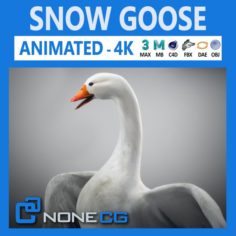 Animated Snow Goose 3D Model