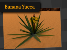 Banana Yucca 3D Model